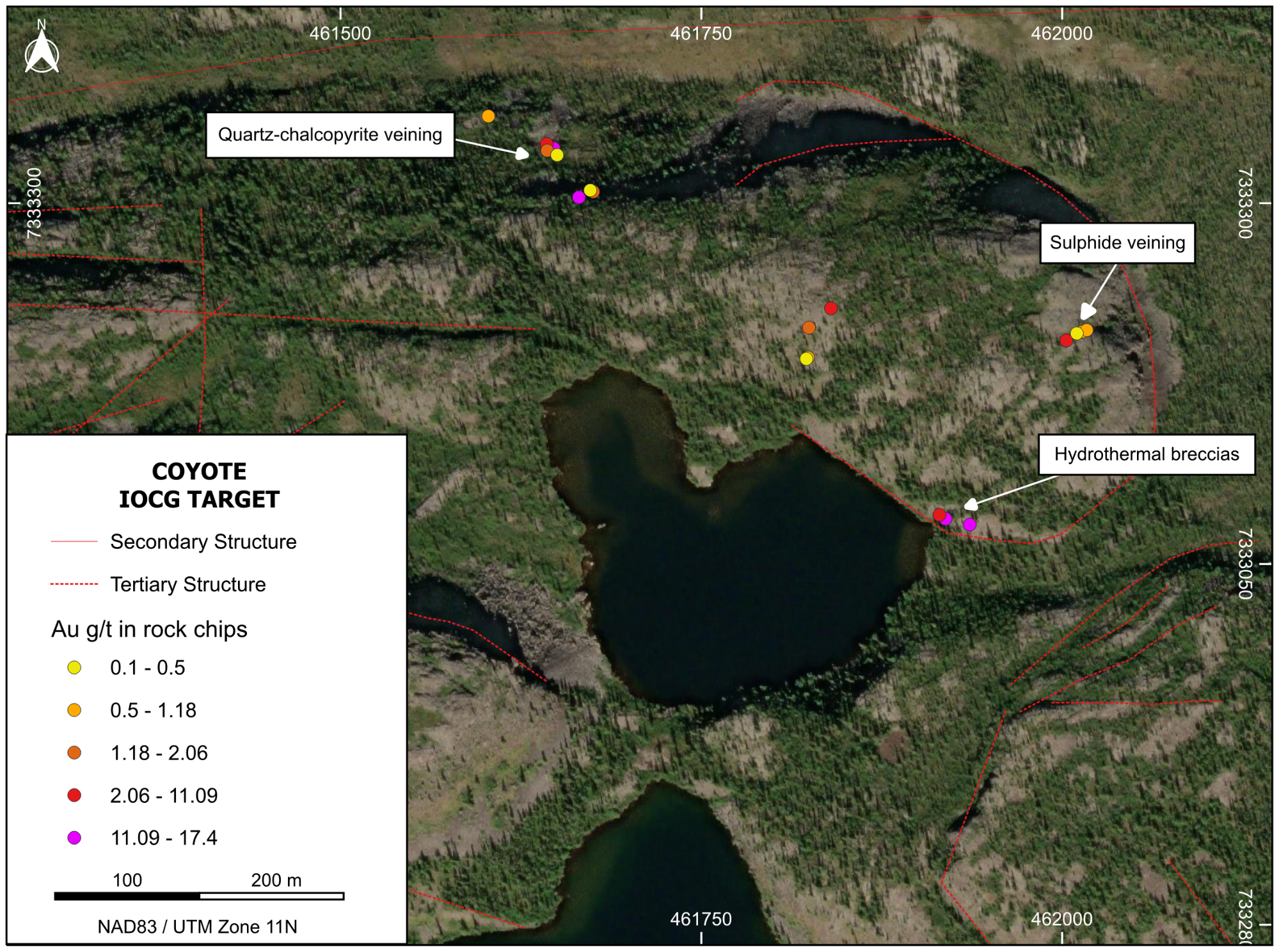 Map of gold concentration in rock chip samples from the Coyote Target. Sampling was completed in the NE of the target area, with many prospective structures around the collapse structure awaiting follow up.